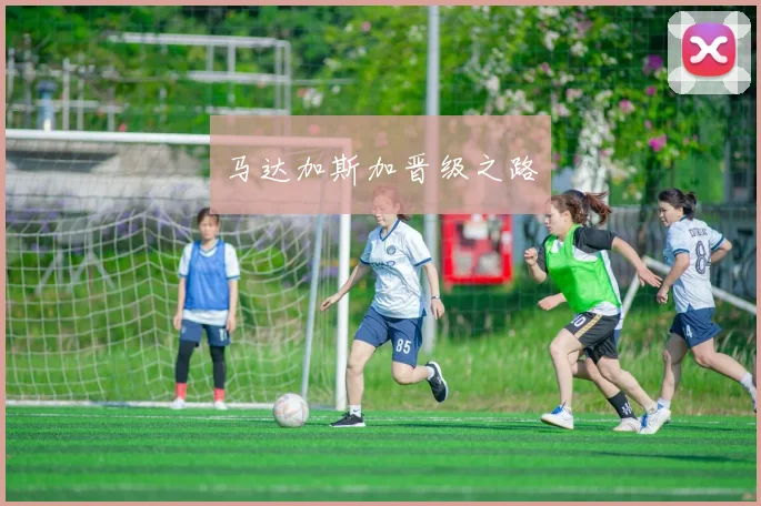 马达加斯加晋级之路