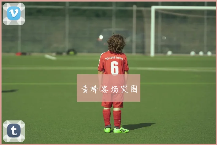 黄蜂客场突围