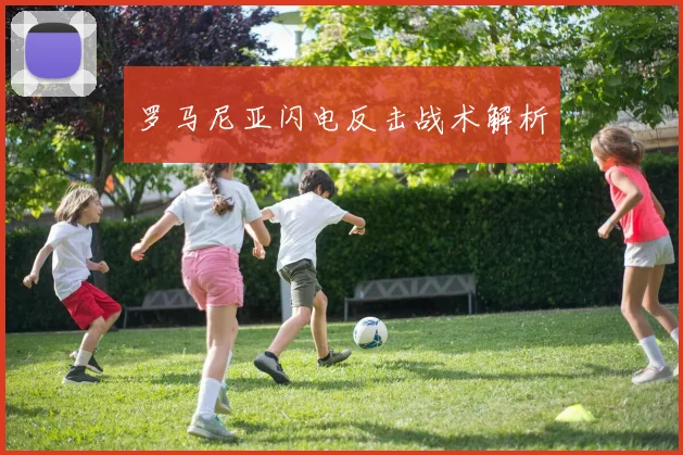 罗马尼亚闪电反击战术解析