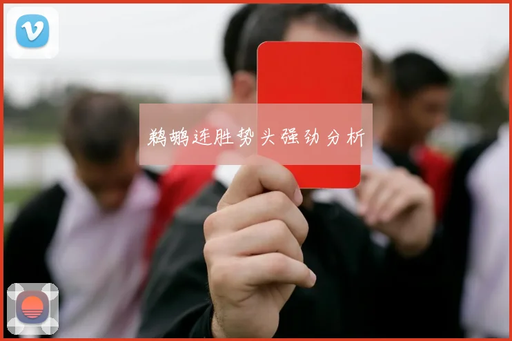 鹈鹕连胜势头强劲分析