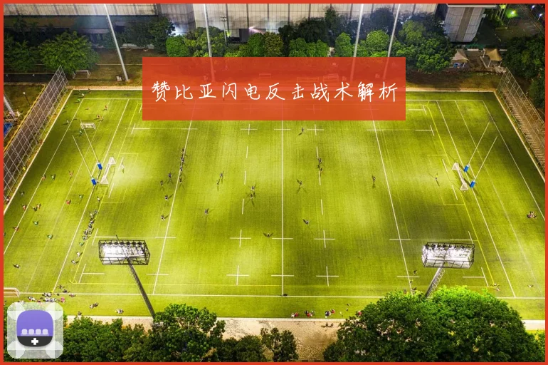 赞比亚闪电反击战术解析