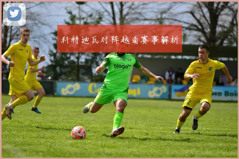 科特迪瓦对阵越南赛事解析
