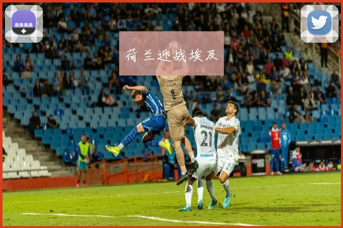 荷兰迎战埃及