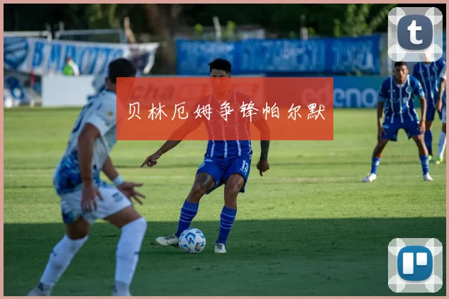 贝林厄姆争锋帕尔默