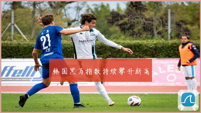 韩国黑马指数持续攀升新高
