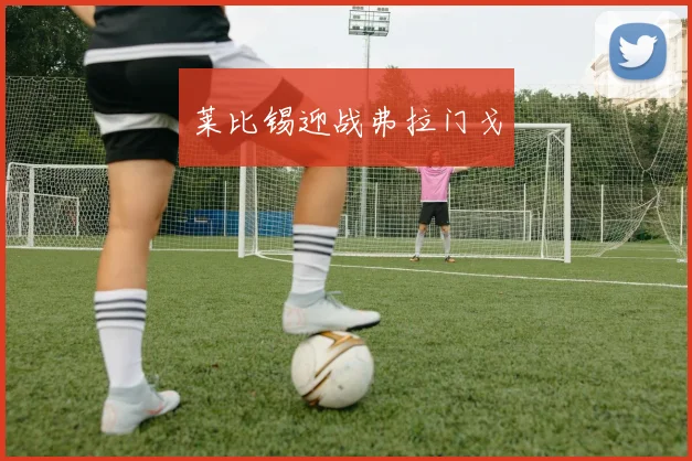 莱比锡迎战弗拉门戈