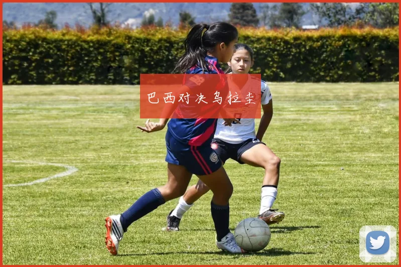 巴西对决乌拉圭