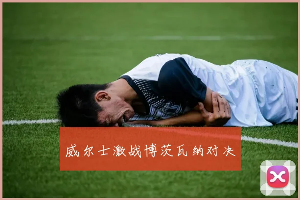 威尔士激战博茨瓦纳对决
