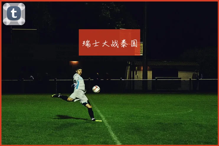 瑞士大战泰国