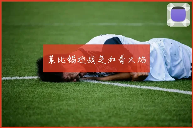 莱比锡迎战芝加哥火焰
