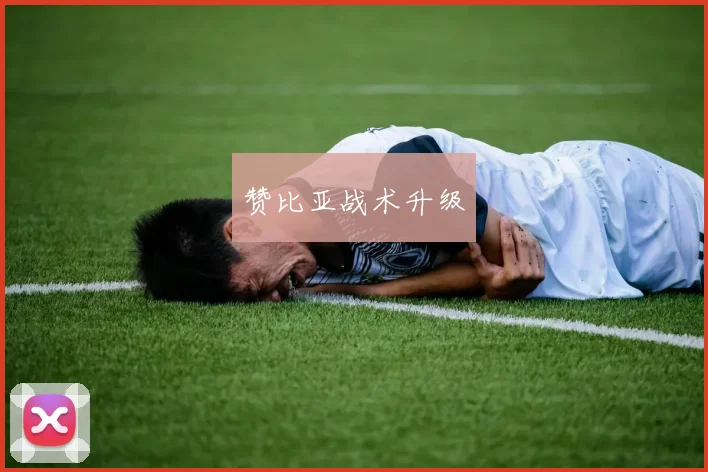 赞比亚战术升级