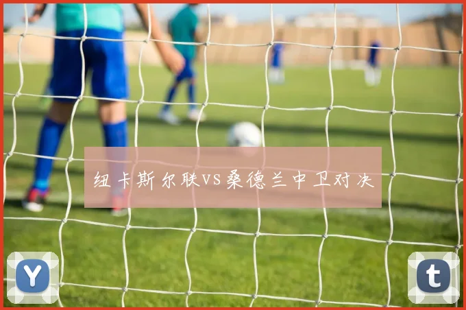 纽卡斯尔联vs桑德兰中卫对决