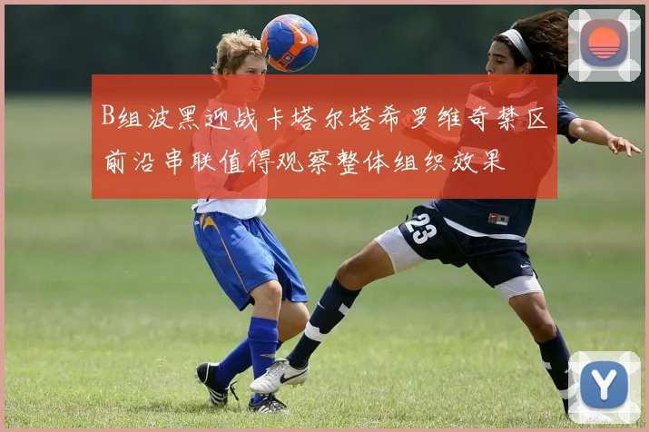 B组波黑迎战卡塔尔塔希罗维奇禁区前沿串联值得观察整体组织效果