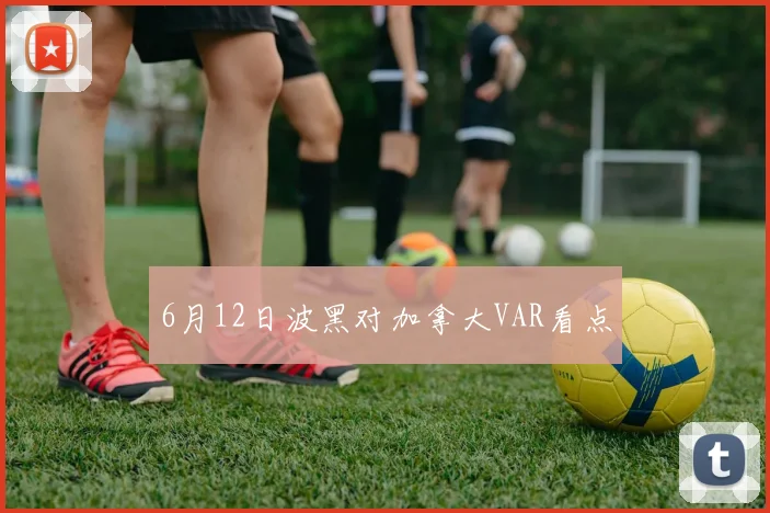 6月12日波黑对加拿大VAR看点